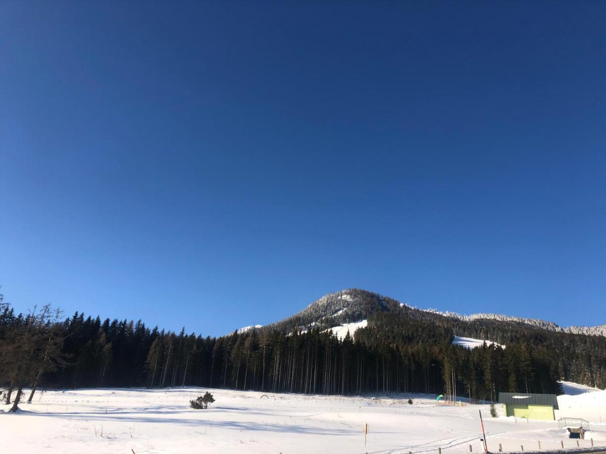 Appartement Schwab Ski In & Out Schladming Εξωτερικό φωτογραφία